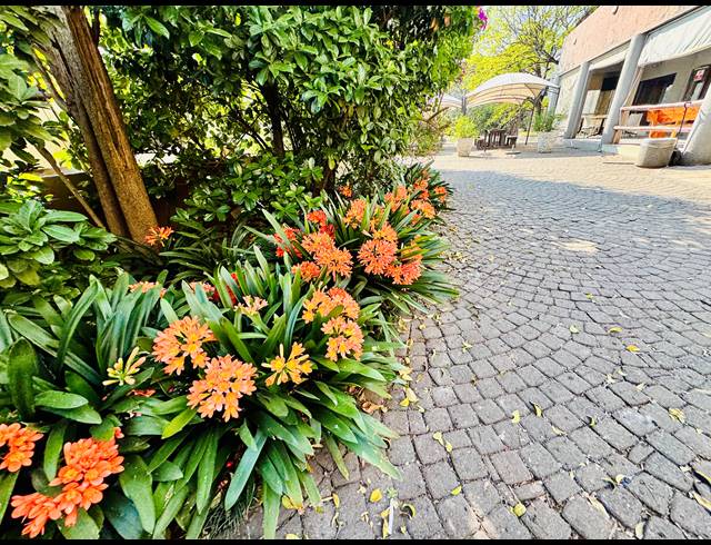 FARM FOR SALE IN JUKSKEI PARK
